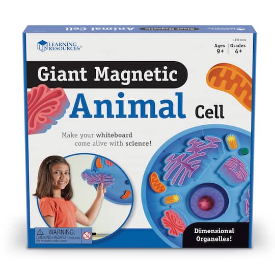 Learning Resources&#xAE; Giant Magnetic Animal Cell